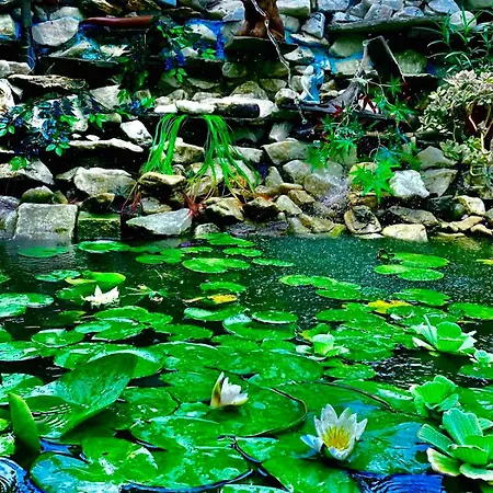 Garden House Apartament Nea Karvali