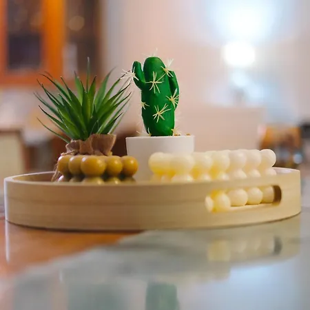 Apartmán Garden House *